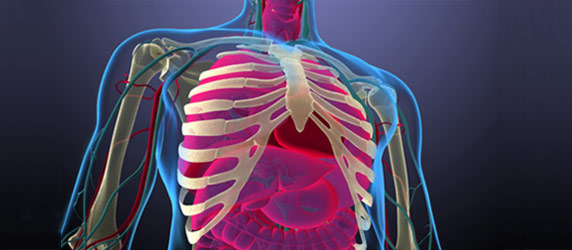 UCLA Thoracic Imaging